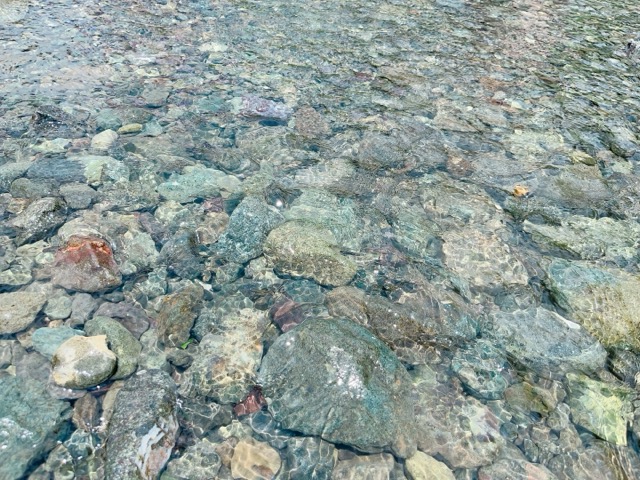 戸川公園の川の水が綺麗