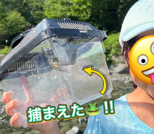 戸川公園でカエル発見！