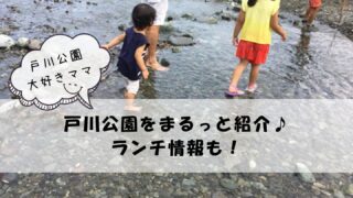 戸川公園の川遊びやアスレチック・ランチ情報！バーベキューやお花も楽しめる♪