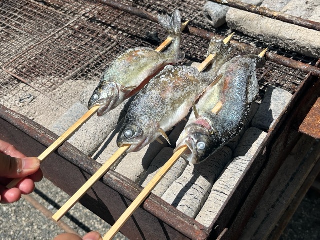 べるがの森でにじますつかみ取り体験