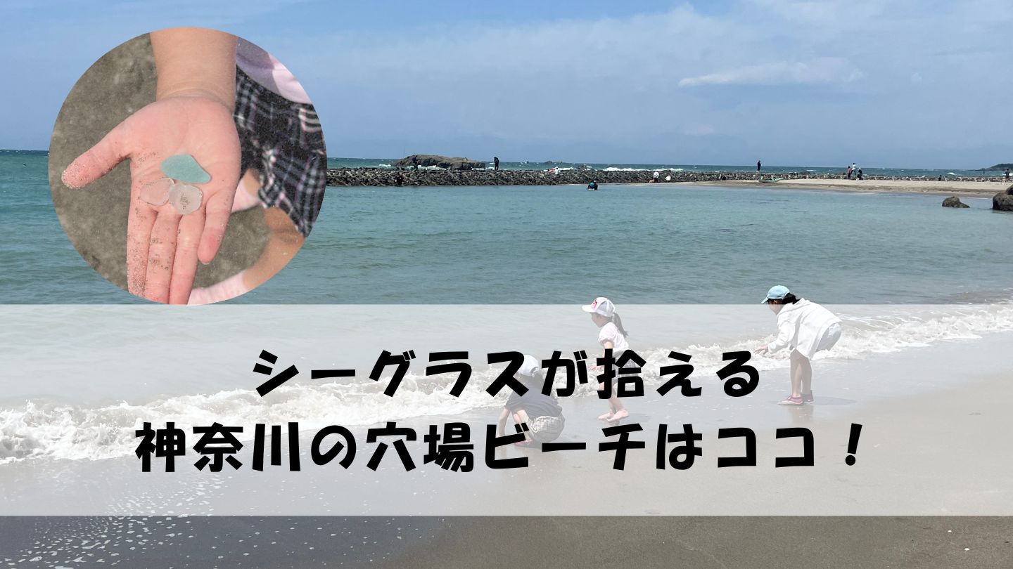 シーグラスが拾える場所神奈川の穴場はココ☆タカラガイも拾える海岸！