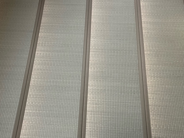 夢見畳の色むら